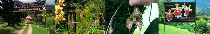 orquideario